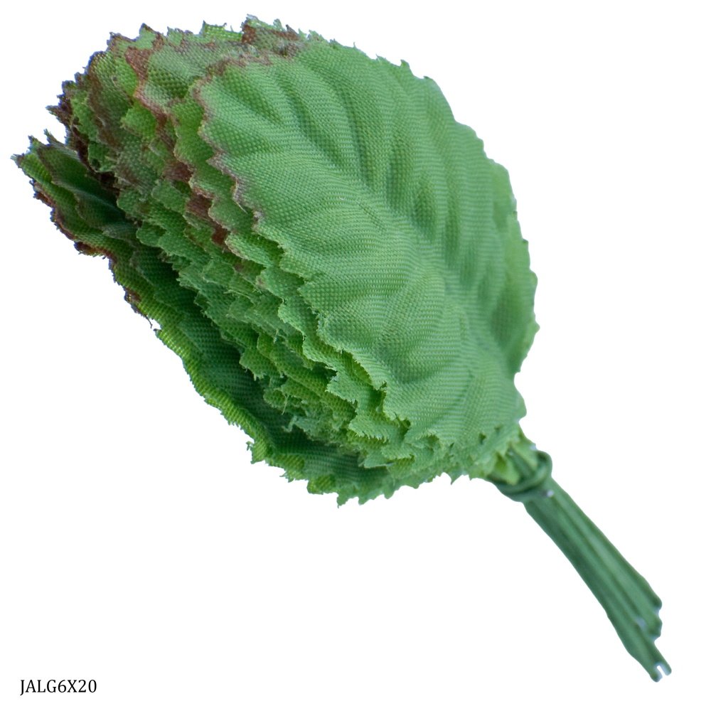 LEAVES JALG6X20 1