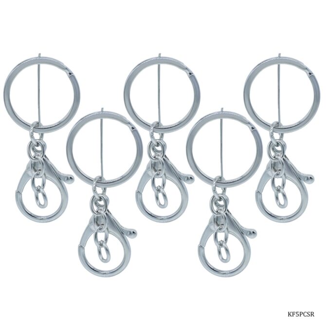 KEY CHAIN FITTING SILVER With Hook 5Pcs